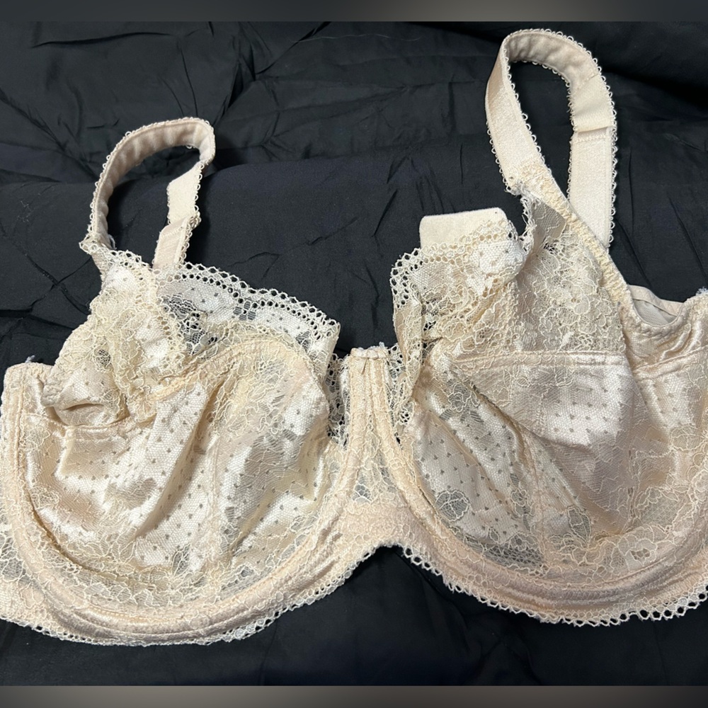 Panache 36 GG lovely cream colored lace bra